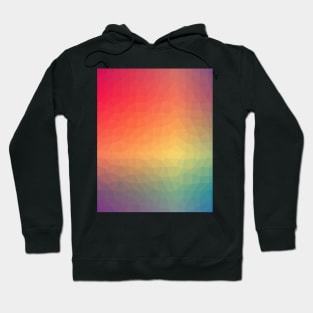 Colorful Texture Mesh Hoodie